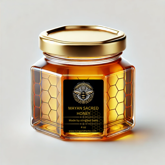 Top 5 Benefits of Stingless Bee Honey You Need to Know