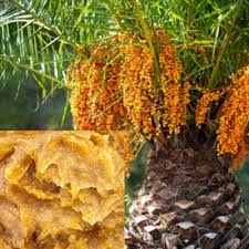 Batana Oil